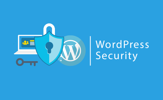 WordPress Security Check