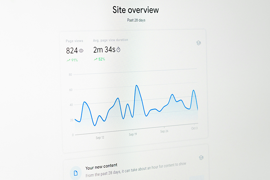 SEO Analytics