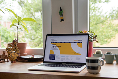 Website build